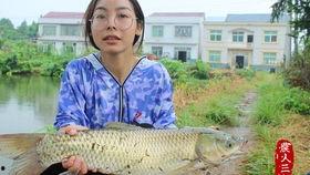 草鱼吃瓜网,揭秘网络世界的趣味与真相