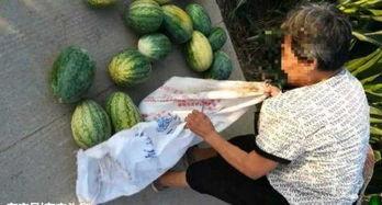 偃师吃瓜网红最新事件,揭秘背后真相与网络舆论风暴