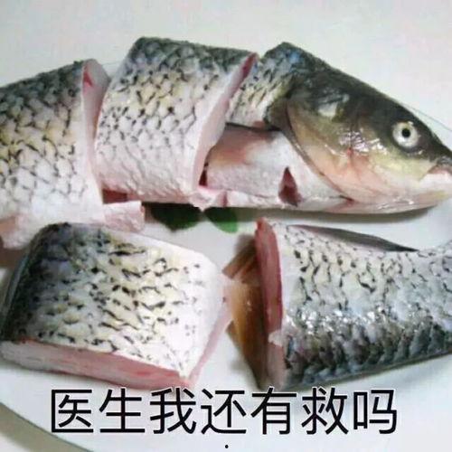 2020吃瓜网红421,揭秘网络红人的崛起与影响力