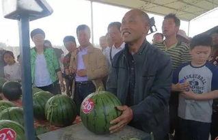 武都网红吃瓜群众视频播放,揭秘视频播放背后的热门现象