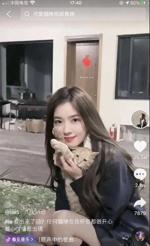 吃瓜新晋女网红,揭秘吃瓜女网红的崛起之路