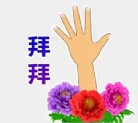 网红吃瓜表情包动态,趣味横生的网络潮流