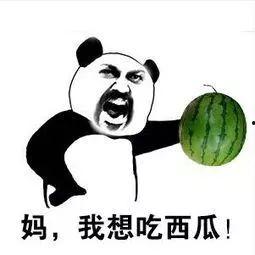 吃瓜网永不,吃瓜网永不的秘密大公开