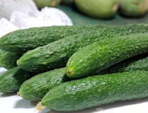 专门吃网红瓜的群叫什么,揭秘那些让人欲罢不能的幕后故事