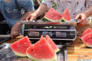 网传恶心吃瓜,一场关于“恶心吃瓜”的全民狂欢