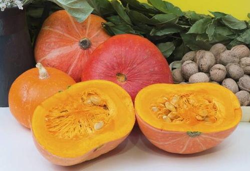 学生网红吃瓜猛料黄料,吃瓜猛料背后的黄料真相