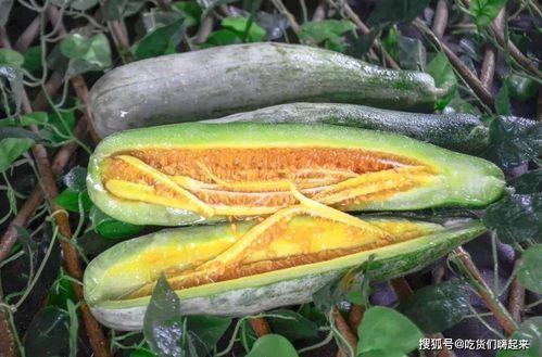 鄂明汗网红吃瓜,揭秘娱乐圈背后的秘密与真相