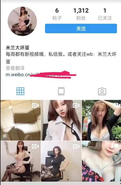 知名网红吃瓜事件视频,揭秘幕后真相，带你领略网络舆论风暴