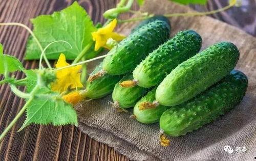 吃瓜网今日最热的瓜,今日最热瓜事件，真相令人震惊！