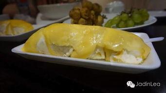 daw6吃瓜网,揭秘娱乐圈最新热点，带你畅游八卦海洋