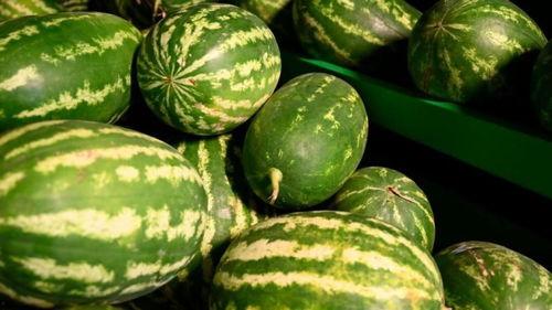 廊坊网红吃瓜事件,揭秘网络舆论的风暴与真相