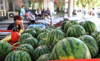 亳州网红吃瓜群微信,揭秘网络社交圈的趣味与争议