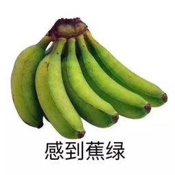 亳州网红吃瓜群微信,揭秘网络社交圈的趣味与争议