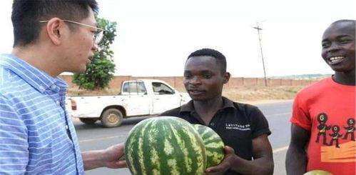 美国吃瓜网,揭秘娱乐圈幕后真相，带你领略不一样的娱乐世界