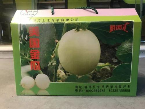 美国吃瓜网,揭秘娱乐圈幕后真相，带你领略不一样的娱乐世界