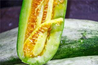 吃瓜网红永久地址,带你走进网红背后的世界