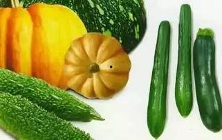 爬虫吃瓜网,爬虫吃瓜网带你领略网络热点背后的故事