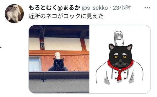 黑猫网吃瓜,揭秘娱乐圈幕后真相