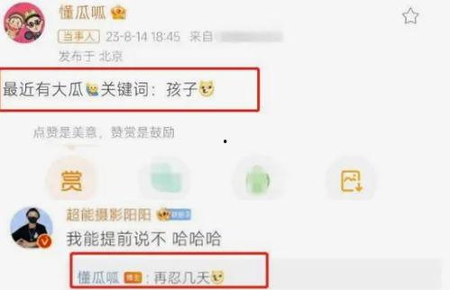 吃瓜网曝热门事件网站,揭秘娱乐圈最新动态