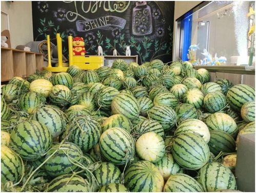 今日网红吃瓜猛料图片,揭秘娱乐圈最新秘闻