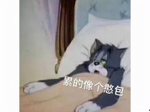 网红吃瓜老太太是谁啊,揭秘网红“吃瓜老太太”的真实身份