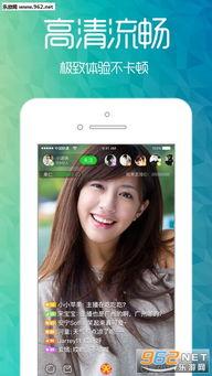 认真吃瓜网红视频下载