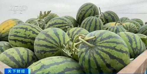 宁国吃瓜网,揭秘本地热点事件，带你领略宁国生活百态