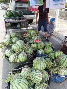 宿迁网红吃瓜事件