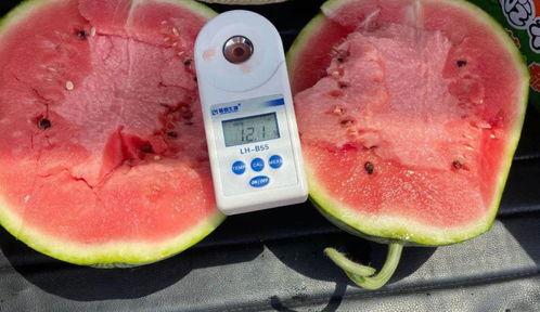 网爆门吃瓜,吃瓜群众围观娱乐圈风云变幻