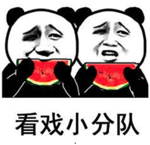 网红吃瓜搞笑表情包是谁