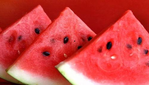 网传网红打卡地吃瓜,揭秘热门地点的瓜果风情