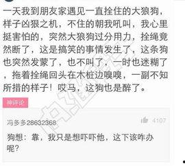 网课吃瓜搞笑图片大全集