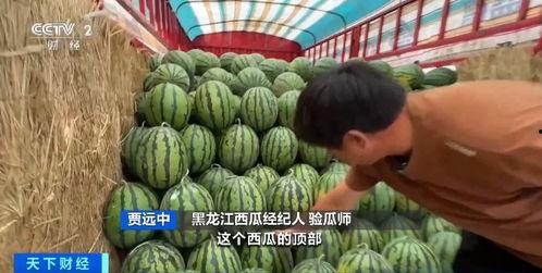 唐山花店吃瓜网盘