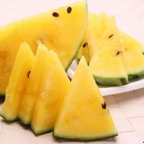 今日黑瓜吃料官网,揭秘今日热门资讯与独家解读