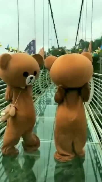 网红小熊吃瓜视频在线观看