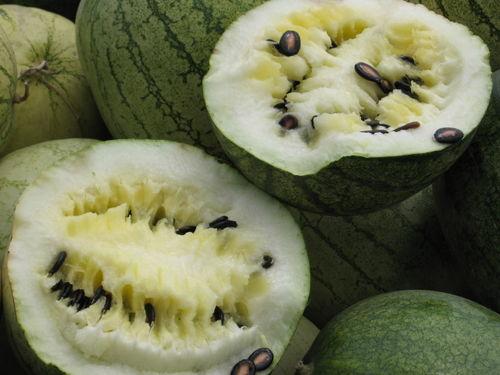 香港网红吃瓜事件是真的吗,香港网红吃瓜事件真相揭秘