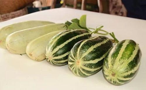 靠吃瓜红的网红,揭秘靠吃瓜走红网络的网红现象