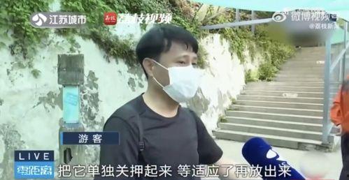 网红吃瓜男生是谁