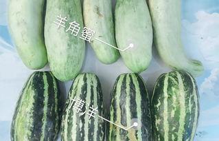 在哪里看网红吃瓜视频呢,各大平台一网打尽！